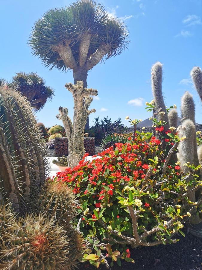 Los Dragos Masdache Luaran gambar